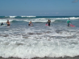 Curso básico dsurfe 